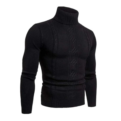 Pull à col roulé en coton avec motif en tricot câblé - Lucian